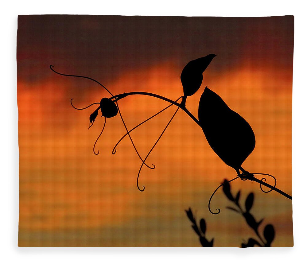 Vines Fleece Blanket featuring the photograph Sunset Vine by Linda Stern