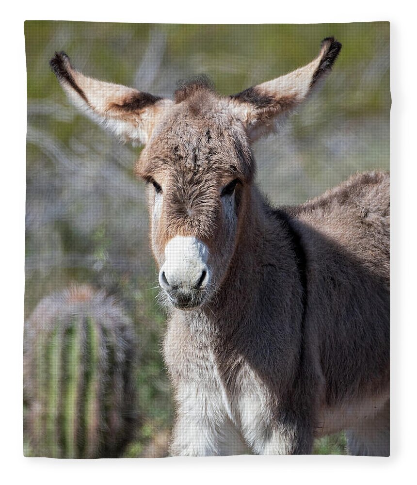 Wild Burros Fleece Blanket featuring the photograph Sure I Can Fly by Mary Hone