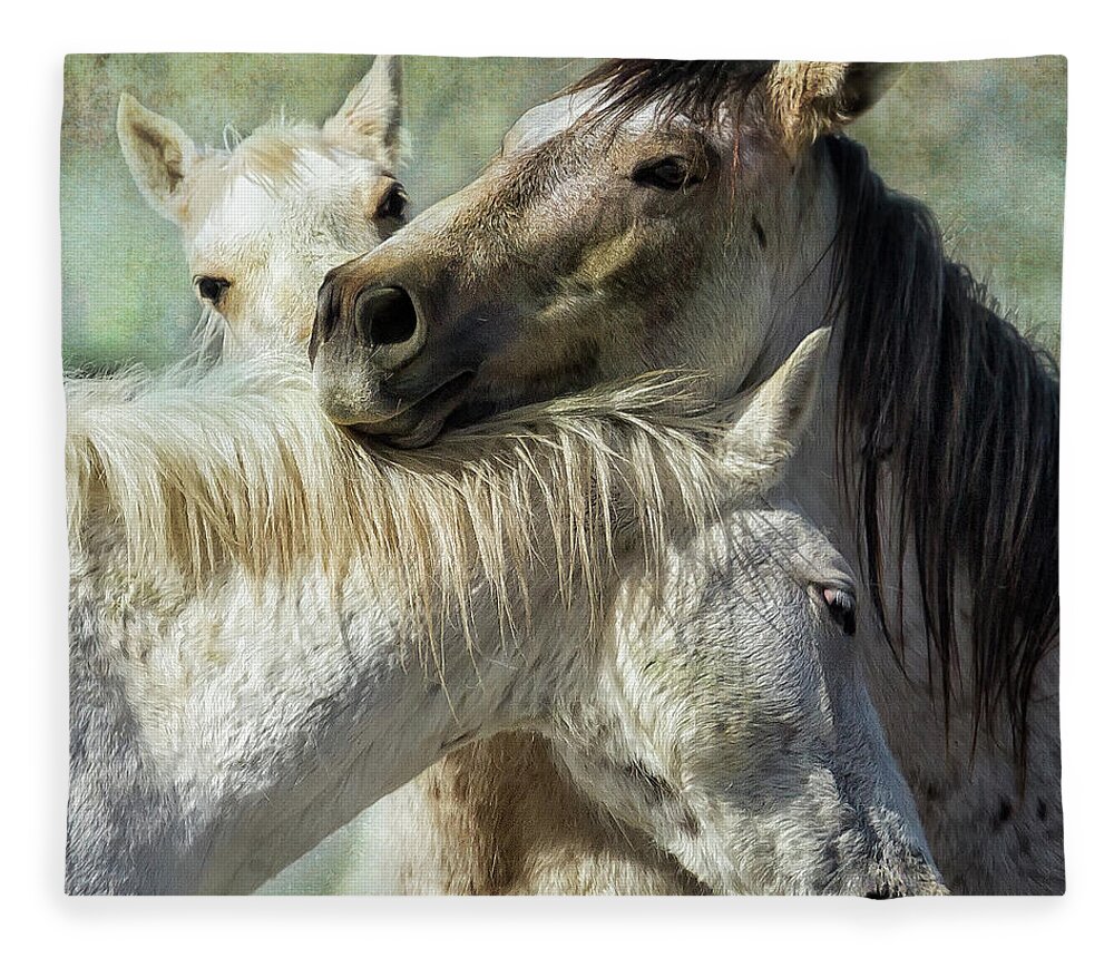 Wild Horses Fleece Blanket featuring the photograph Surrounded by Love by Belinda Greb