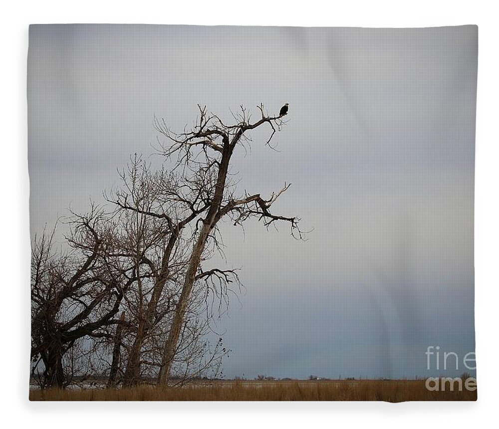 Eagles Fleece Blanket featuring the photograph Surveying the Land by Veronica Batterson