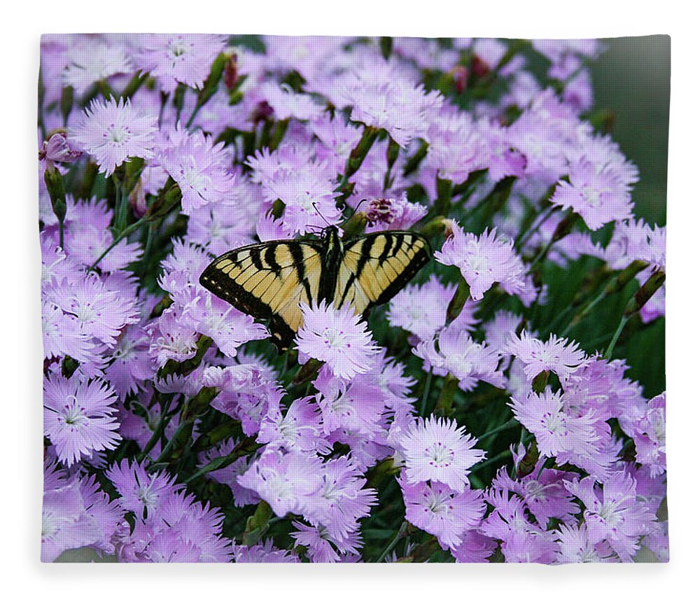 Swallowtail Fleece Blanket featuring the photograph Swallowtail in the Pinks by Kristin Hatt