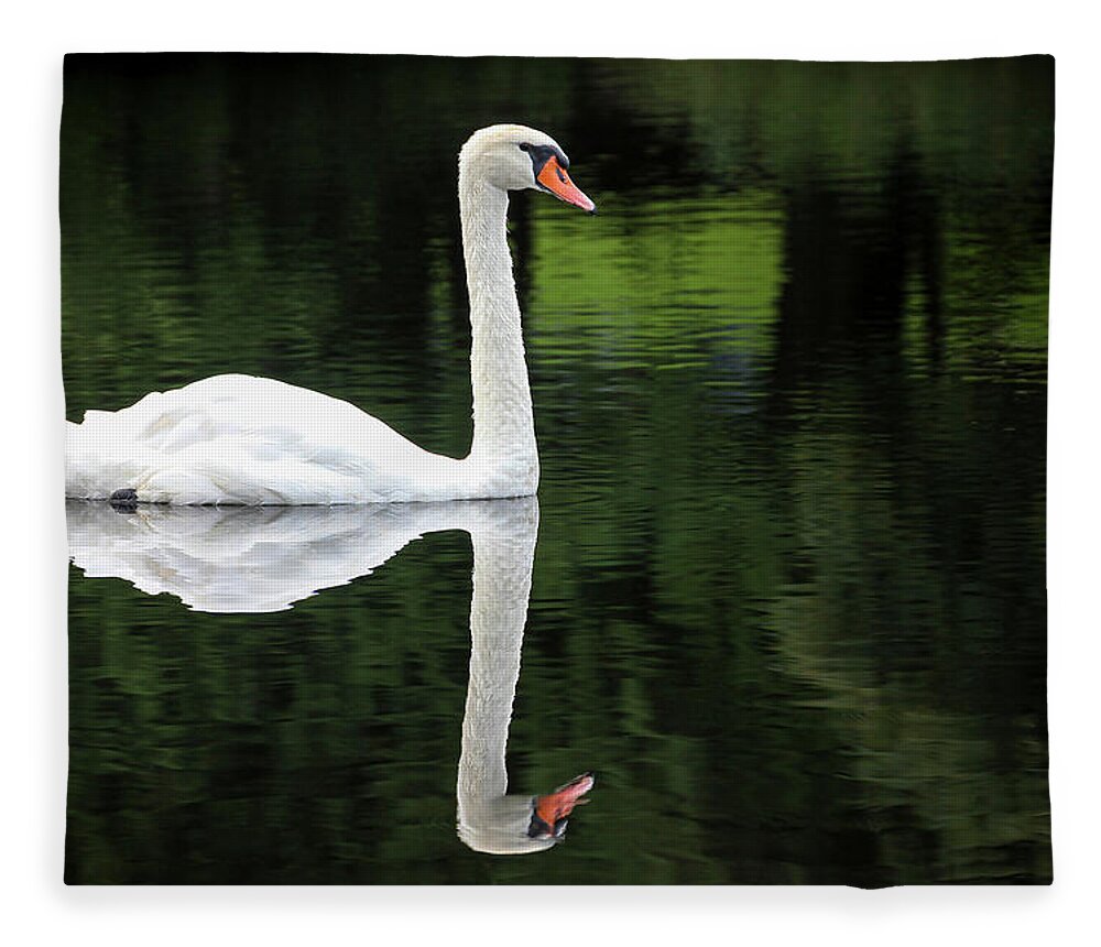 Petoskey Fleece Blanket featuring the photograph Swan at Spring Lake by Robert Carter