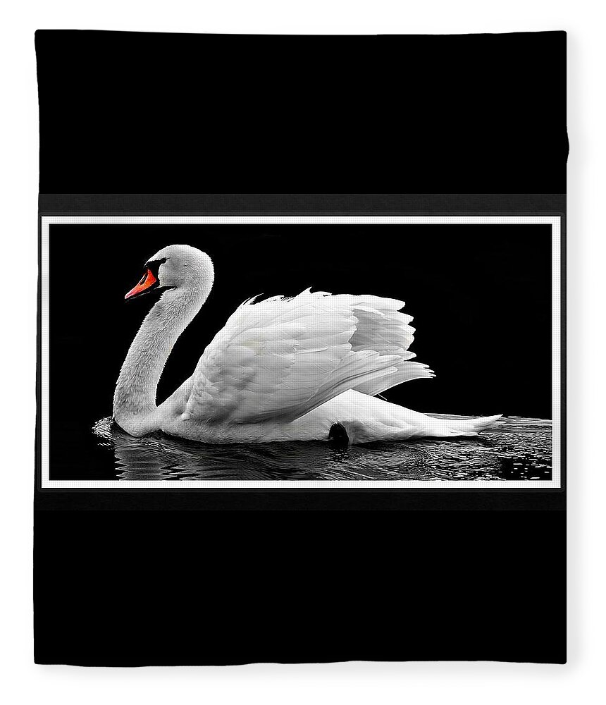 Swan Fleece Blanket featuring the photograph Swan Elegance by Nancy Ayanna Wyatt