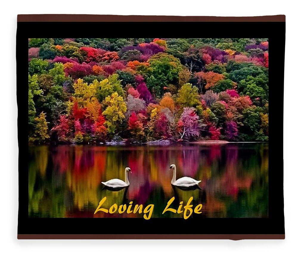 Swans Fleece Blanket featuring the photograph Swans Loving Life by Nancy Ayanna Wyatt