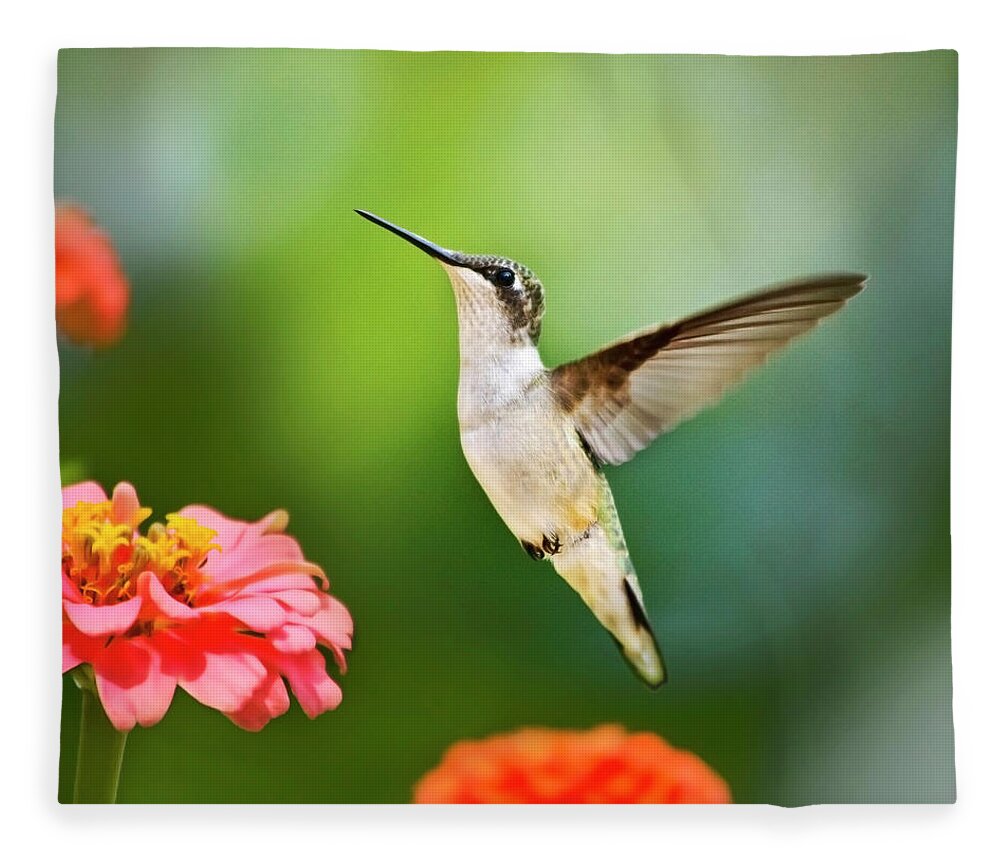 Hummingbirds Fleece Blanket featuring the photograph Sweet Promise Hummingbird Square by Christina Rollo