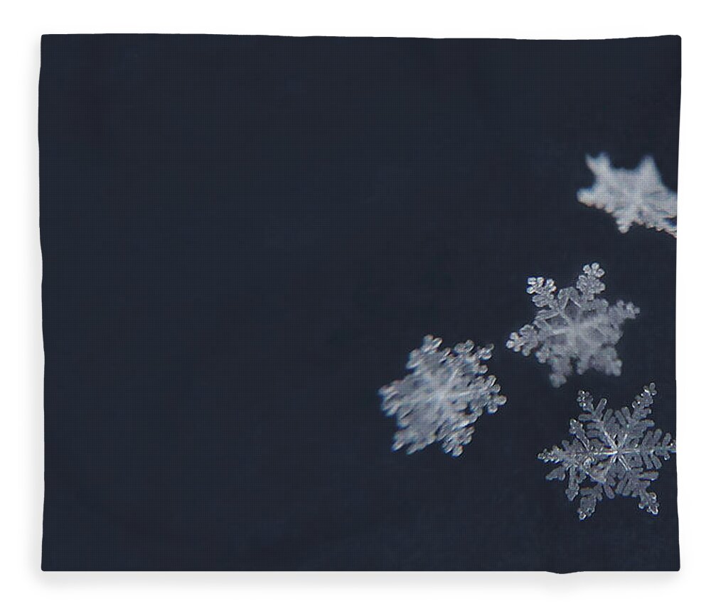 Snowflakes Fleece Blanket featuring the photograph Sweet Snowflakes by Carrie Ann Grippo-Pike