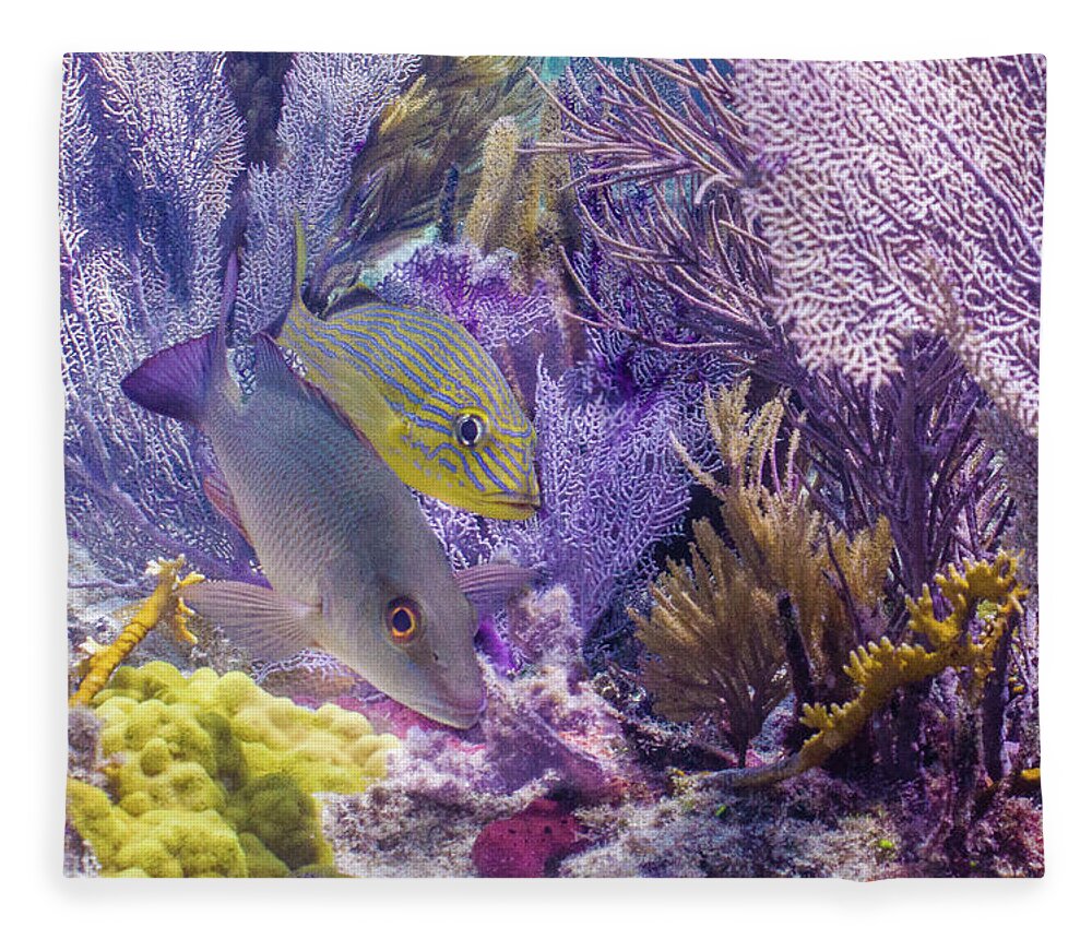 Animals Fleece Blanket featuring the photograph Swim WIth Me by Lynne Browne