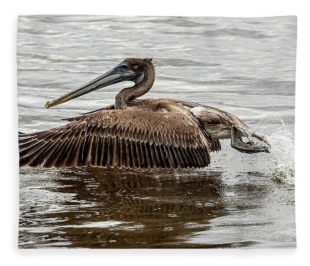 Pelican Fleece Blanket featuring the photograph Take Off by Jerry Connally