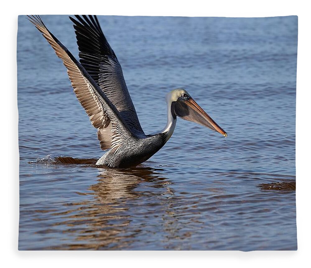 Pelican Fleece Blanket featuring the photograph Take off by Mingming Jiang
