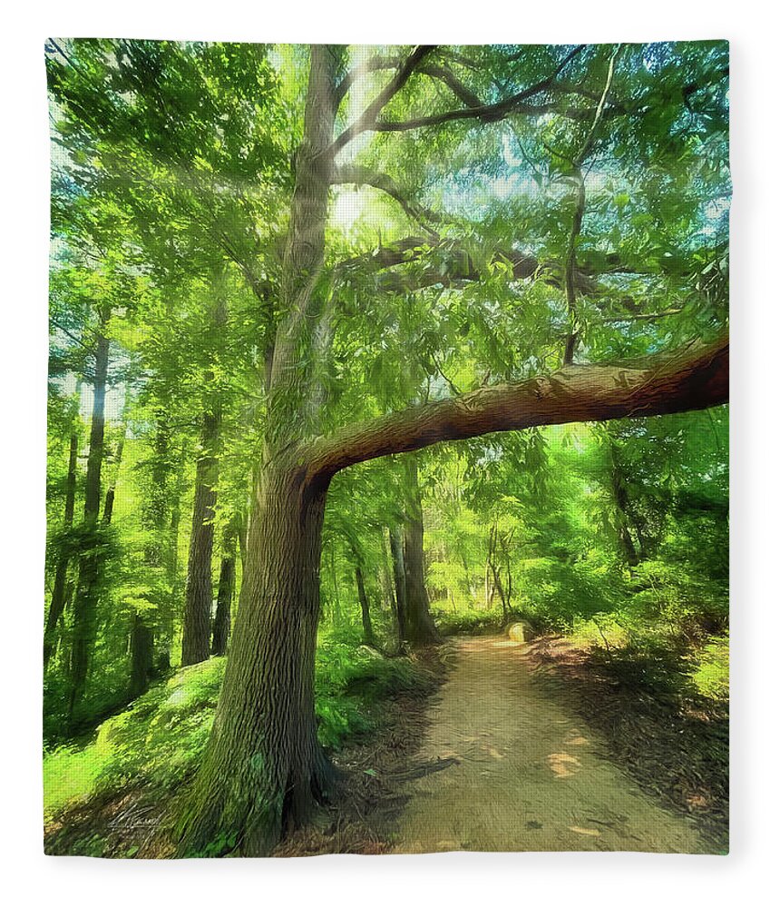 Narrow Path Fleece Blanket featuring the photograph Take the Narrow Path by Michael Frank