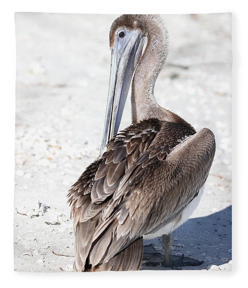Pelicans Fleece Blanket featuring the photograph Close Up of Pelican by Mingming Jiang