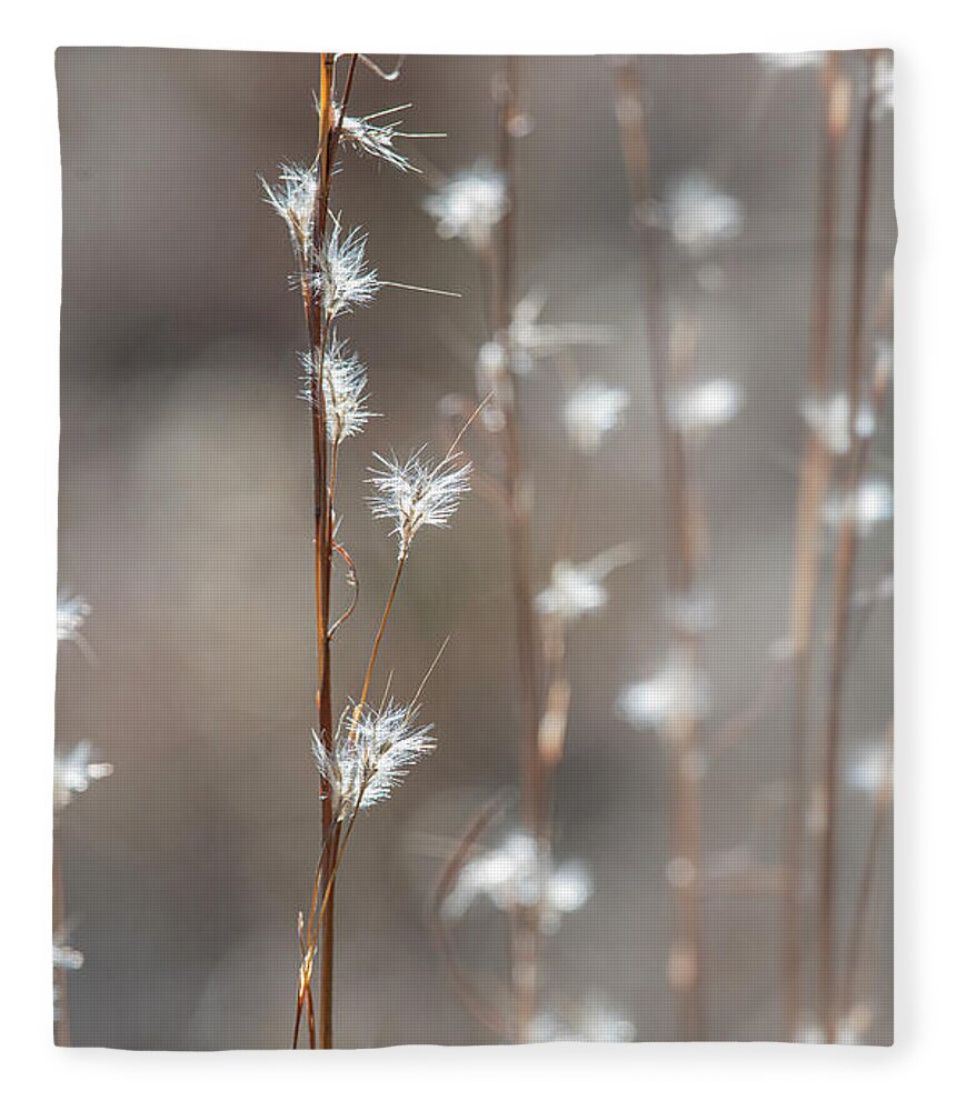 Tall Fleece Blanket featuring the photograph Tall Grass With White Seeds by Karen Rispin
