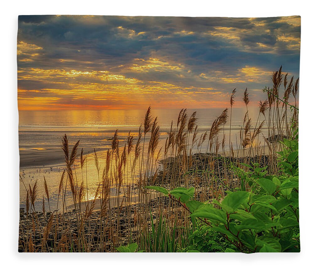 Reeds Fleece Blanket featuring the photograph Tall Grasses of Marginal Way by Penny Polakoff