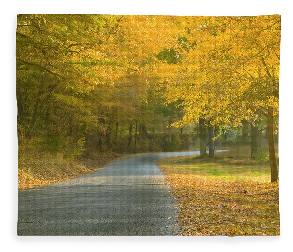 Tennessee Fleece Blanket featuring the photograph Tennessee backroad in Morning Sun in Autumn by Ranjay Mitra