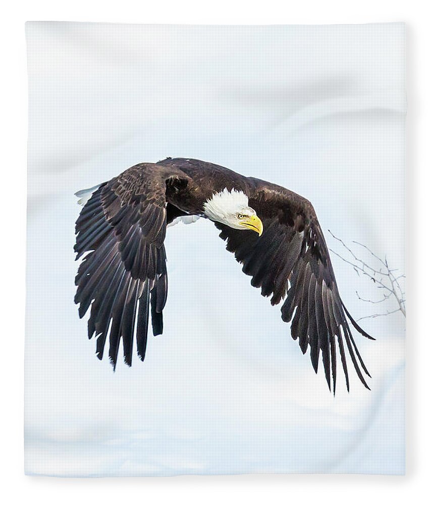 Eagle Fleece Blanket featuring the photograph Test 2 by Kevin Dietrich