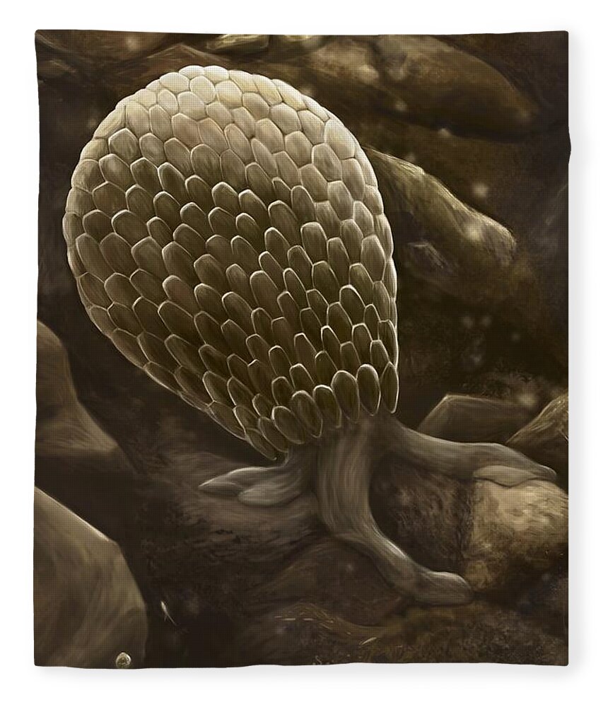 Protozoa Fleece Blanket featuring the digital art Testate Amoeba by Katelyn Solbakk