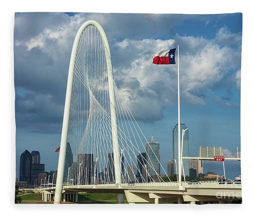 Cityscape Fleece Blanket featuring the photograph Texas Flag on a Windy Day by Diana Mary Sharpton