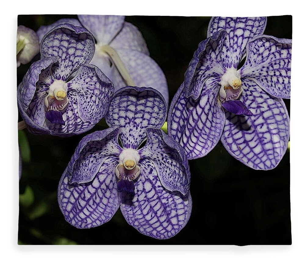 Orchid Fleece Blanket featuring the photograph Textured Orchid Flowers 2 by Mingming Jiang