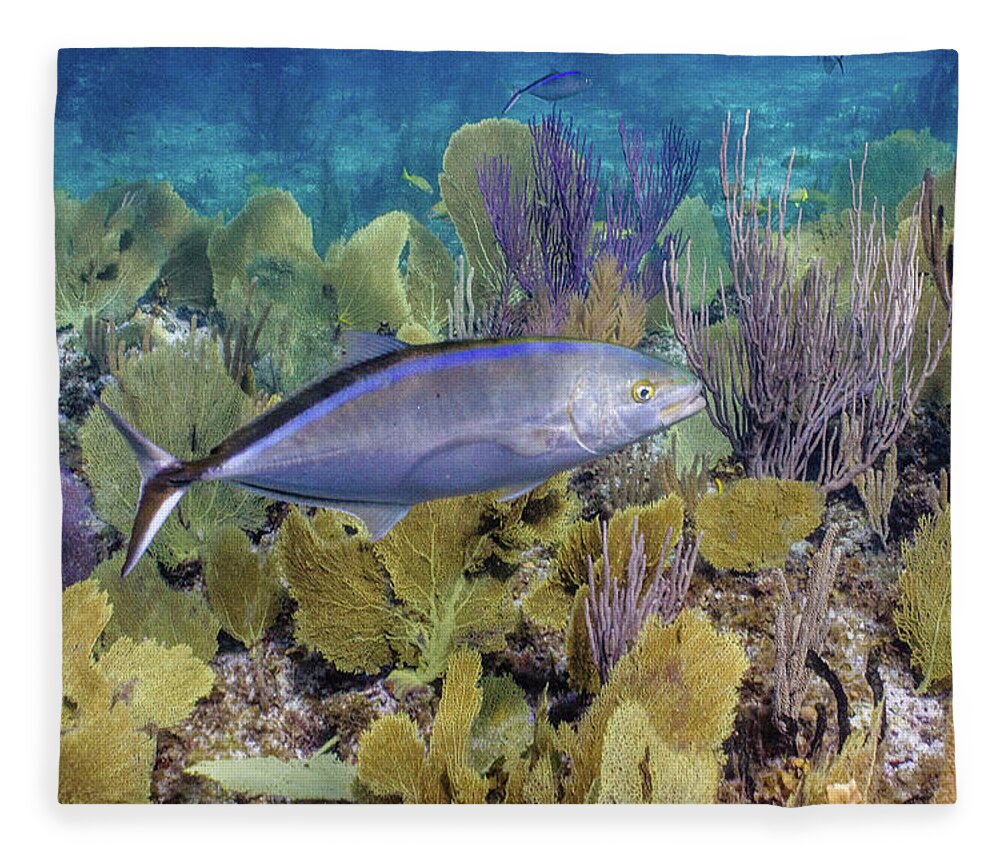 Animals Fleece Blanket featuring the photograph The Bar Crossing by Lynne Browne