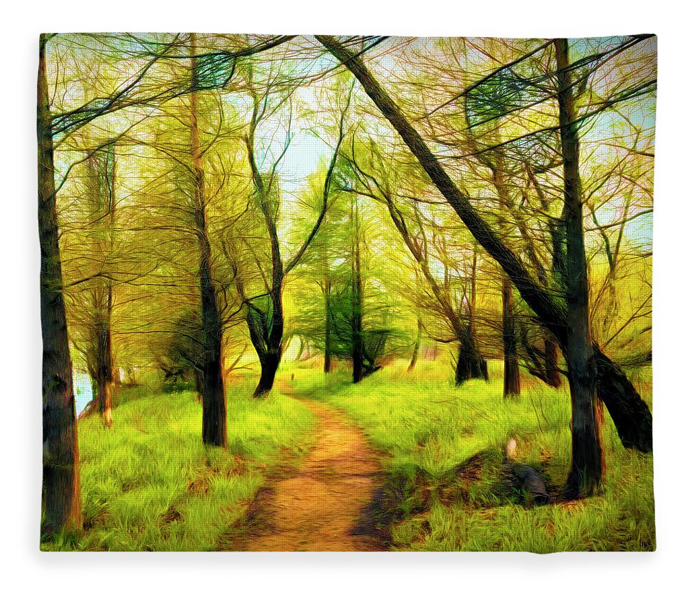 Carolina Fleece Blanket featuring the photograph The Beautiful Forest Trail in Abstract in Square by Debra and Dave Vanderlaan