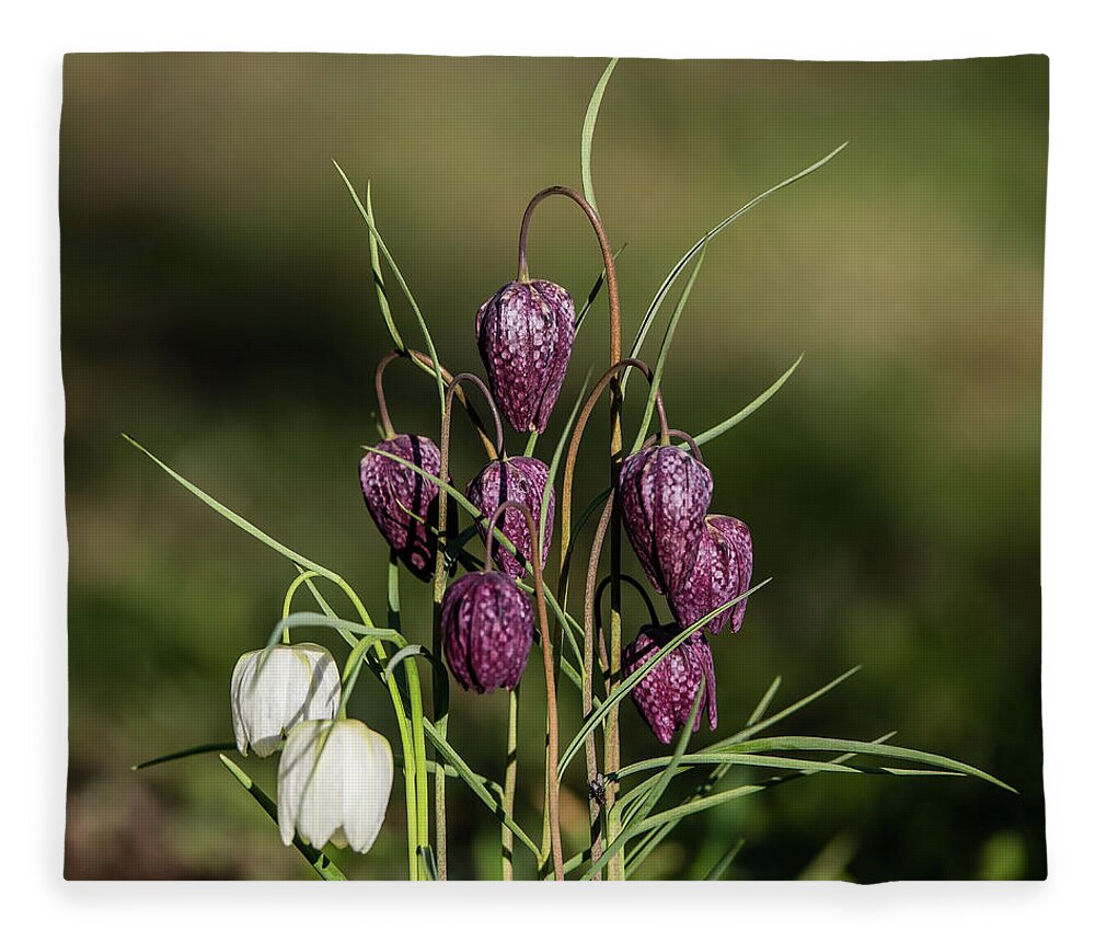 Snake's Head Fleece Blanket featuring the photograph The beautiful group of Snakes head by Torbjorn Swenelius