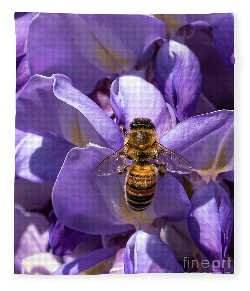 Flower Fleece Blanket featuring the photograph The bee on wisteria by The P