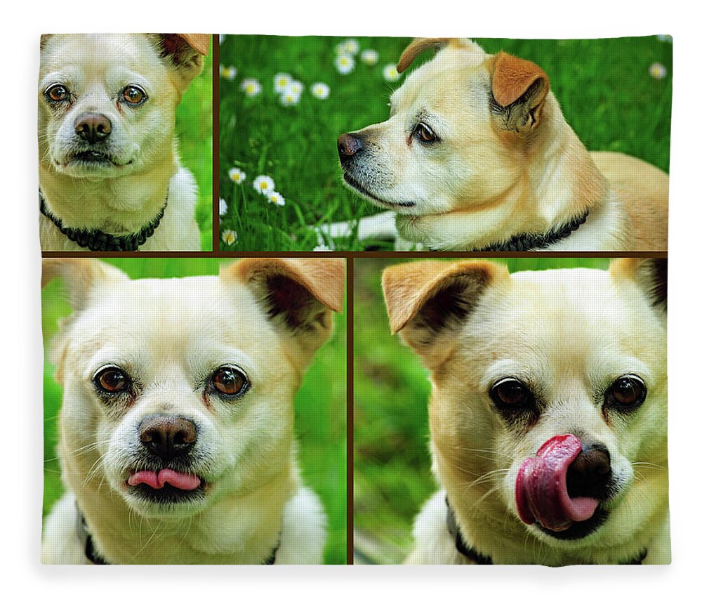 Dog Fleece Blanket featuring the photograph The Best of Buster by Tikvah's Hope