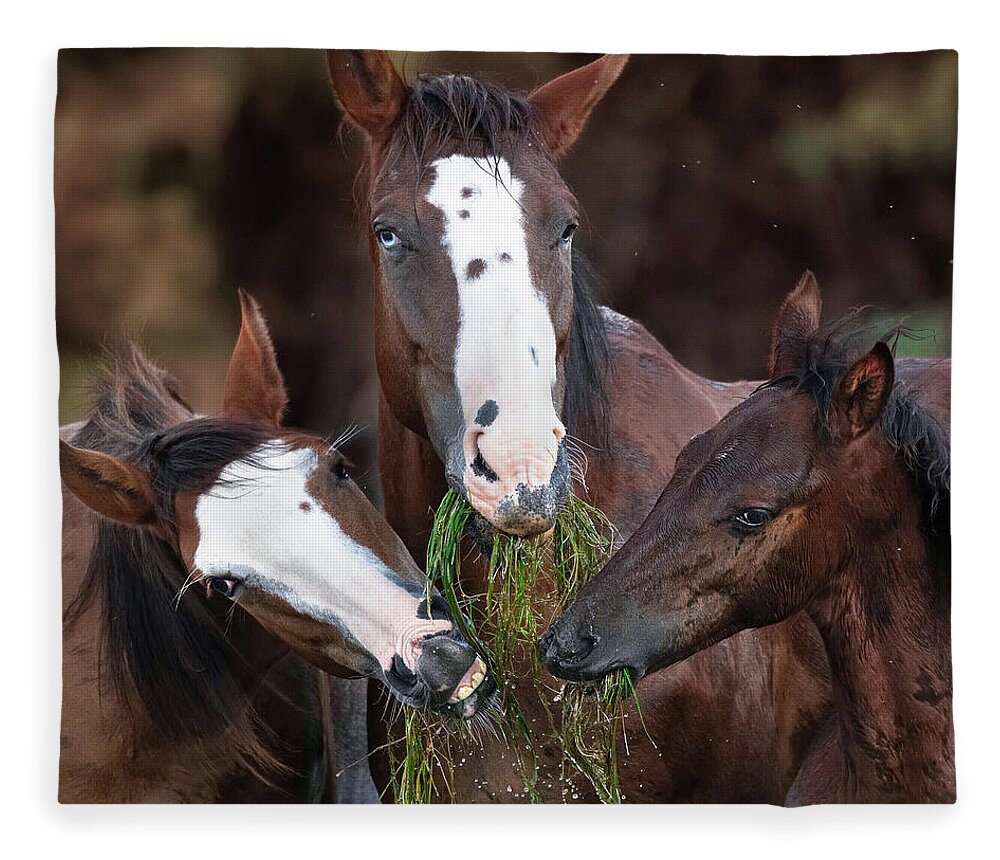 Stallion Fleece Blanket featuring the photograph The Blue-Eyed Mare. by Paul Martin