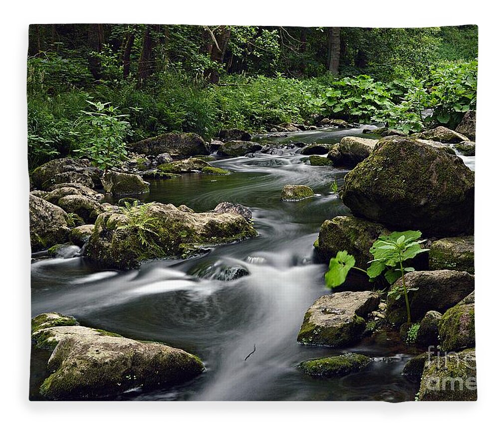 Wasser Fleece Blanket featuring the photograph The Creek by Thomas Schroeder