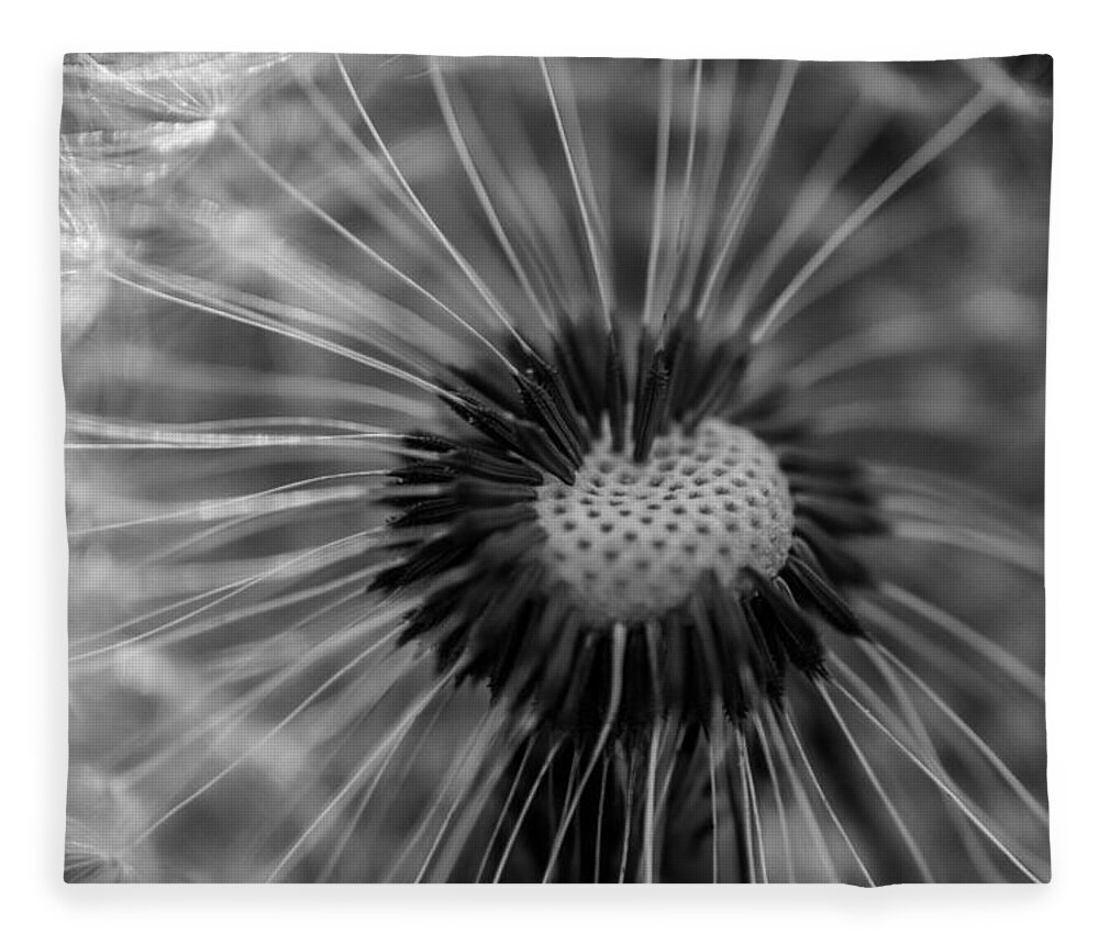Landscape Fleece Blanket featuring the photograph The dandelion by Jamie Tyler