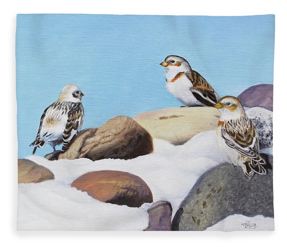 Snow Buntings Fleece Blanket featuring the painting The Debate by Tammy Taylor