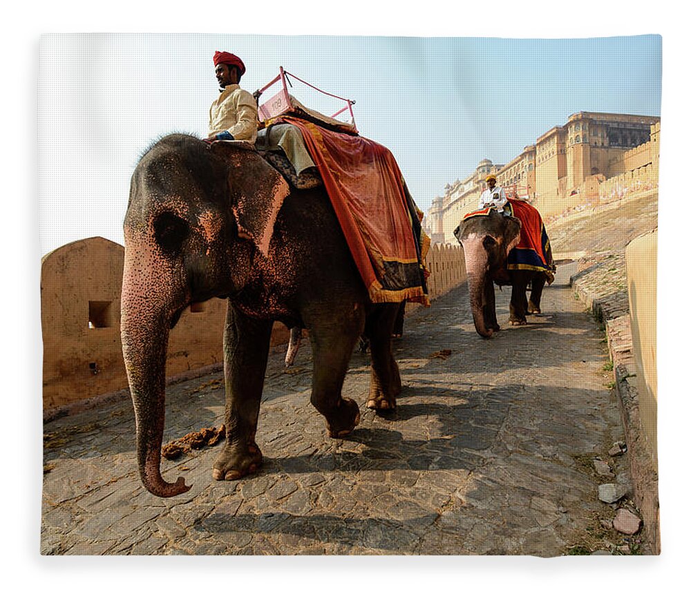 India Fleece Blanket featuring the photograph Kingdom Come. - Amber Palace, Rajasthan, India by Earth And Spirit