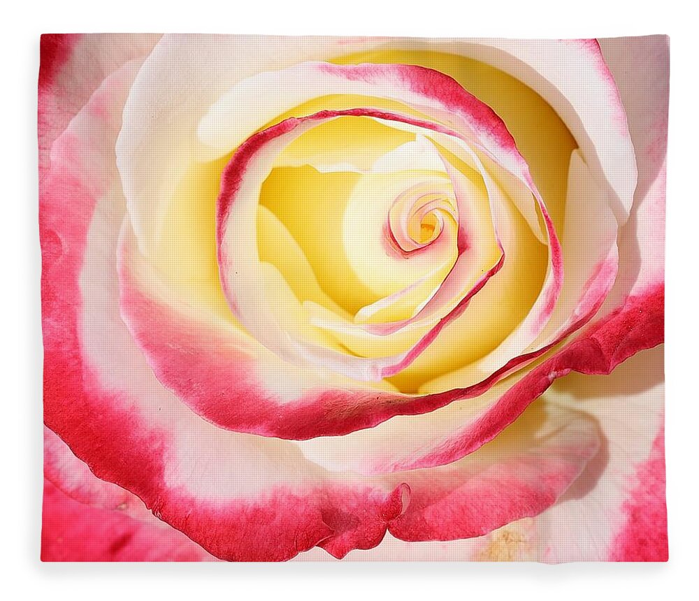 Roses Are Most Beloved And Symbolic Flowers. Love Fleece Blanket featuring the photograph The Eye of Beauty by Mingming Jiang