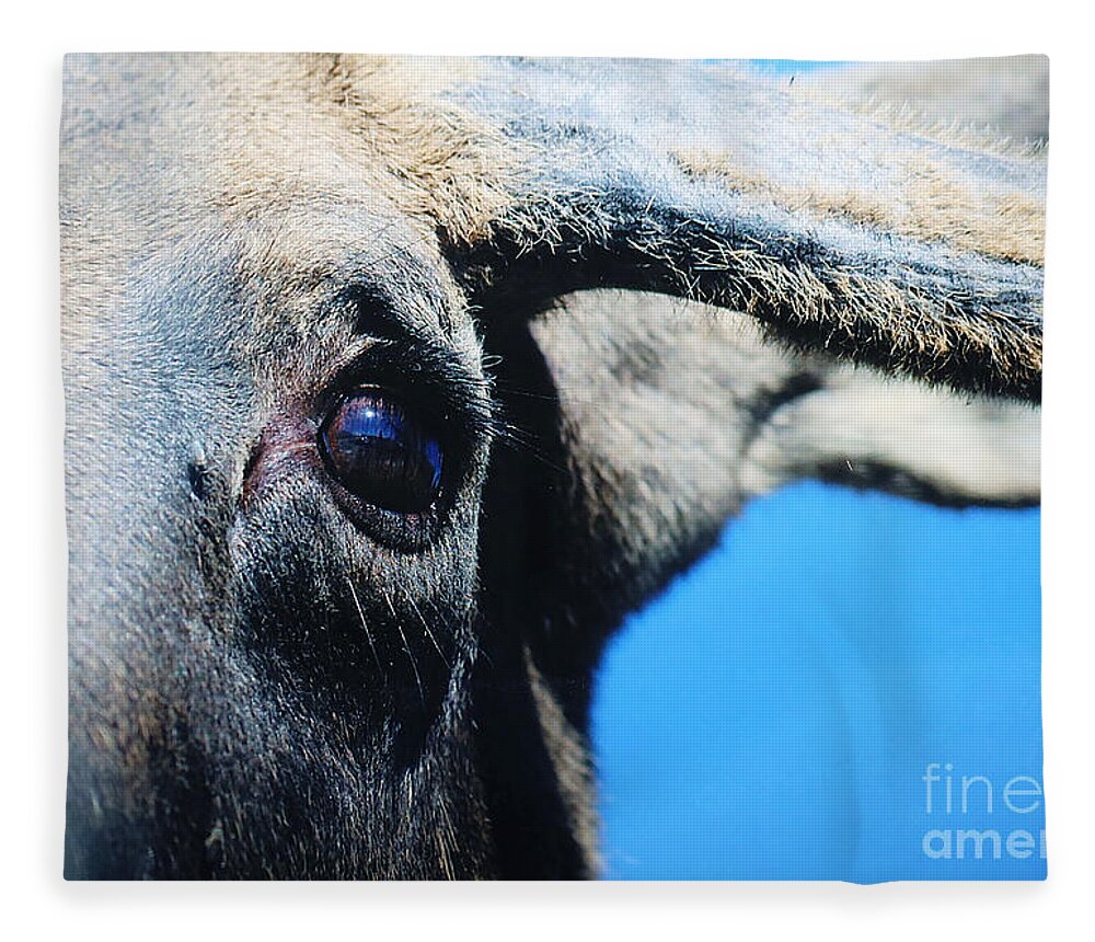 Alaska Fleece Blanket featuring the photograph The Eye of the Moose by Doug Gist