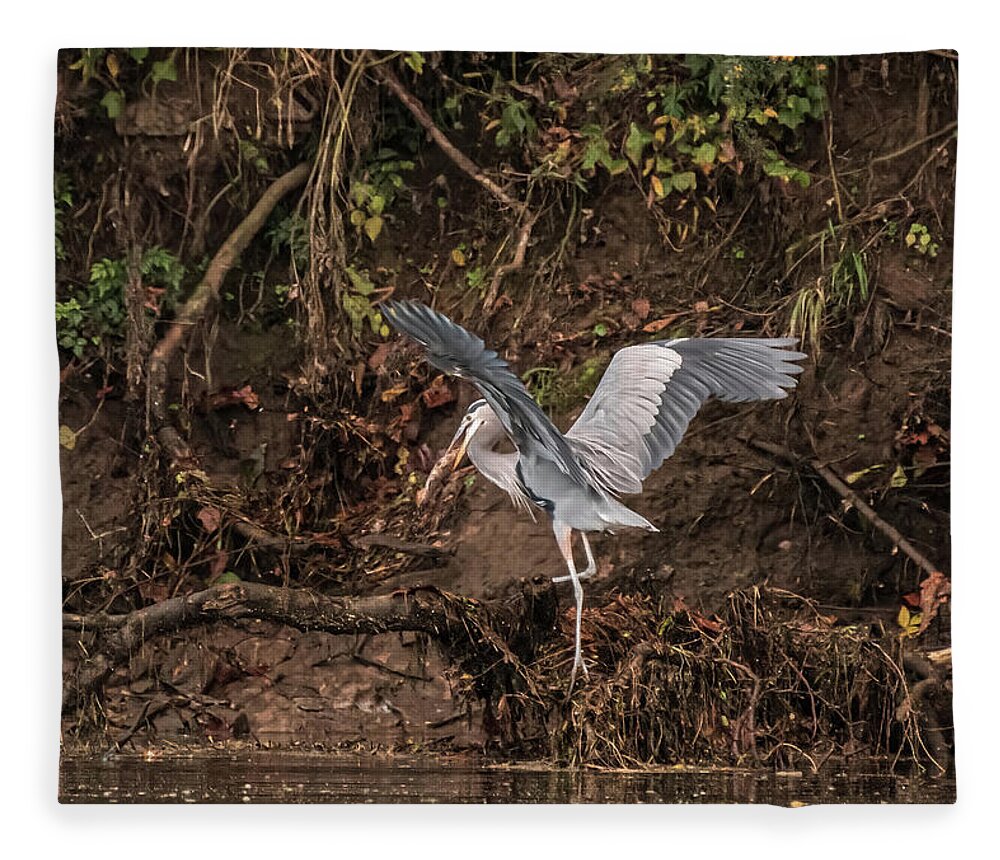 Heron Fleece Blanket featuring the photograph The Fisherman by DArcy Evans