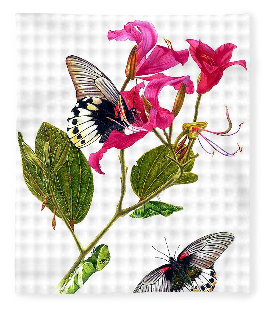 Papilio Memnon Fleece Blanket featuring the painting The Great Mormon Butterfly by Espero Art