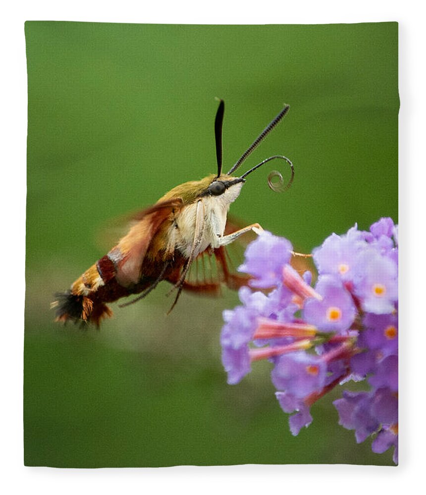 Cool Fleece Blanket featuring the photograph The Hummingbird Moth by Linda Bonaccorsi