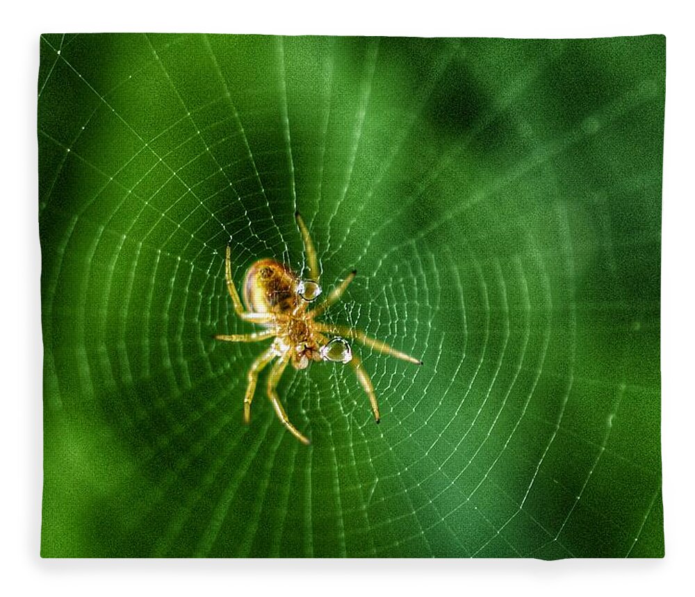 Photo Fleece Blanket featuring the photograph The Itsy Bitsy Spider by Evan Foster