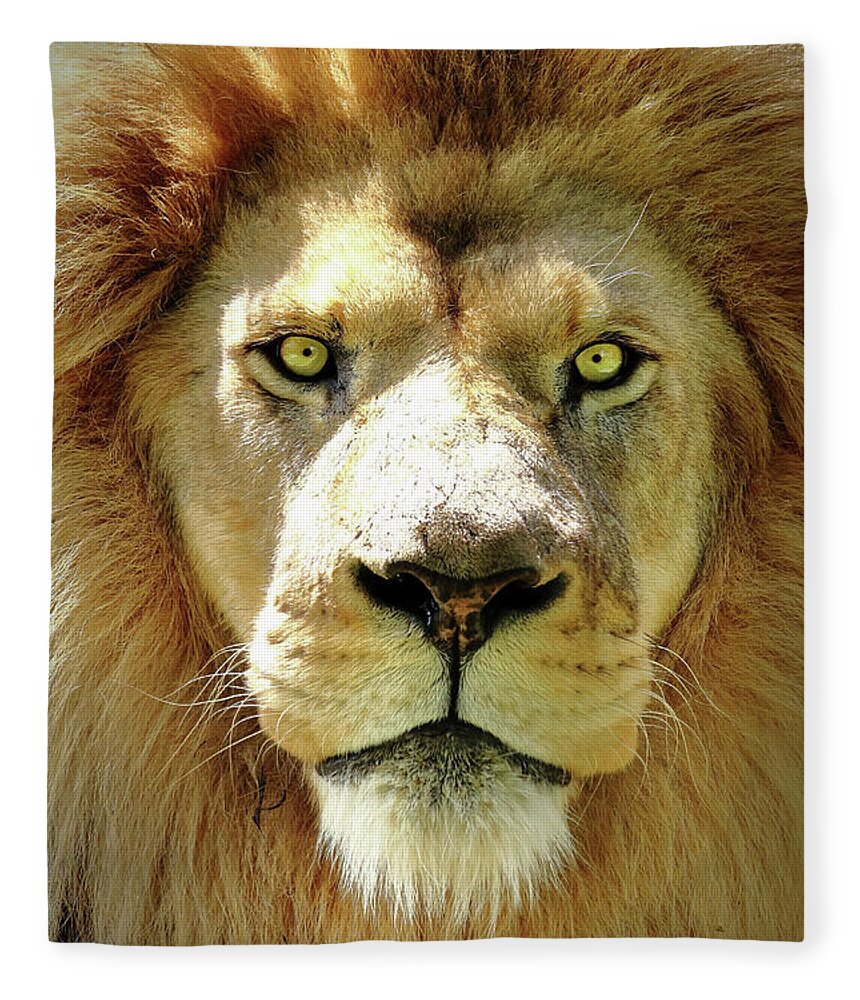 Lion Fleece Blanket featuring the photograph The King by Lens Art Photography By Larry Trager