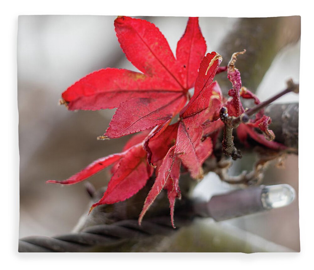 Leaf Fleece Blanket featuring the photograph The Last of Fall 2 by Rick Nelson