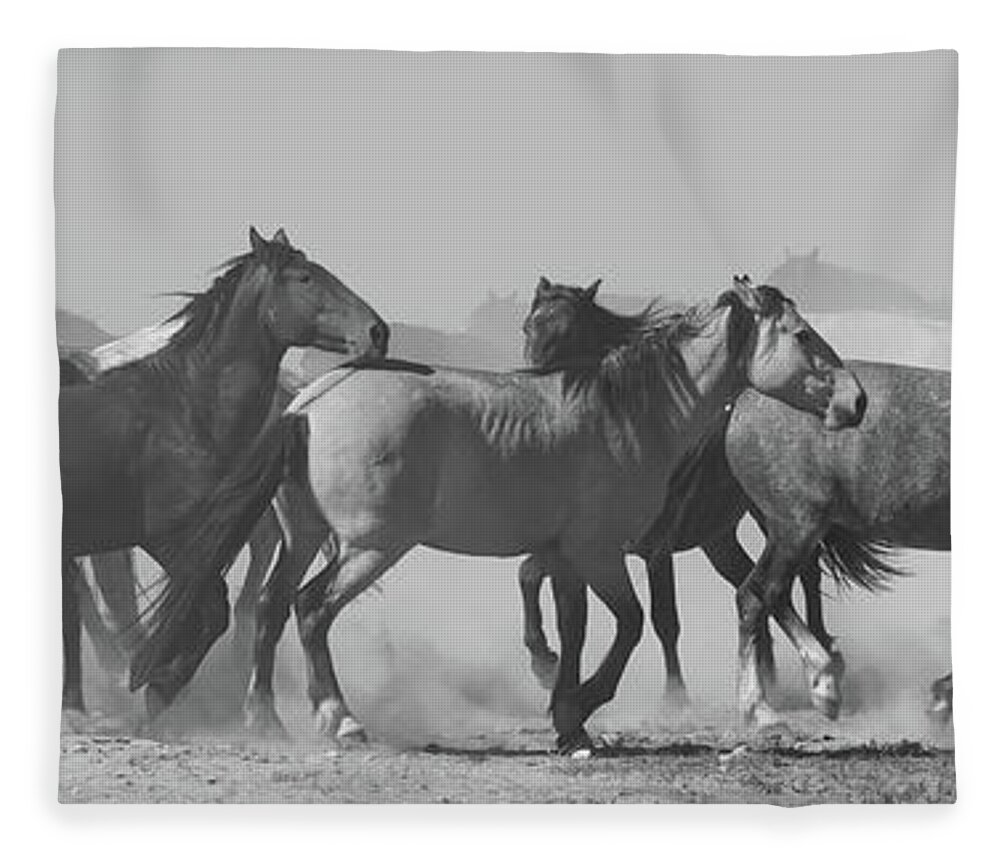 Wild Horses Fleece Blanket featuring the photograph The Line Up by Mary Hone