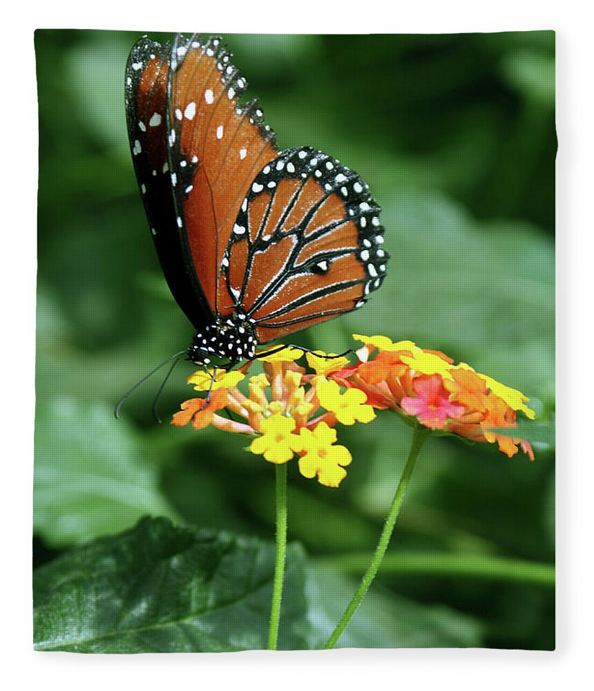 Insect Fleece Blanket featuring the photograph The Monarch by Jim Feldman