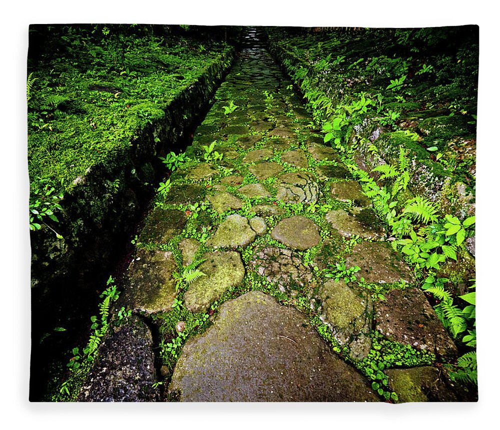 Nikko Fleece Blanket featuring the photograph The mossy way... Nikko. Japan by Lie Yim