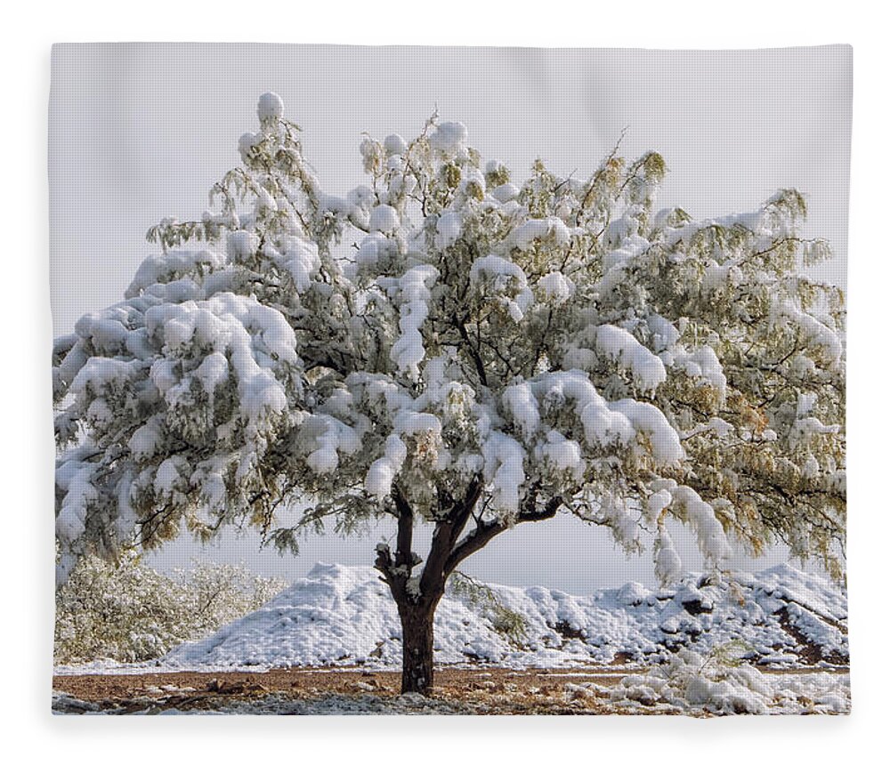 Trees Fleece Blanket featuring the photograph The Old Mesquite Tree by Elaine Malott