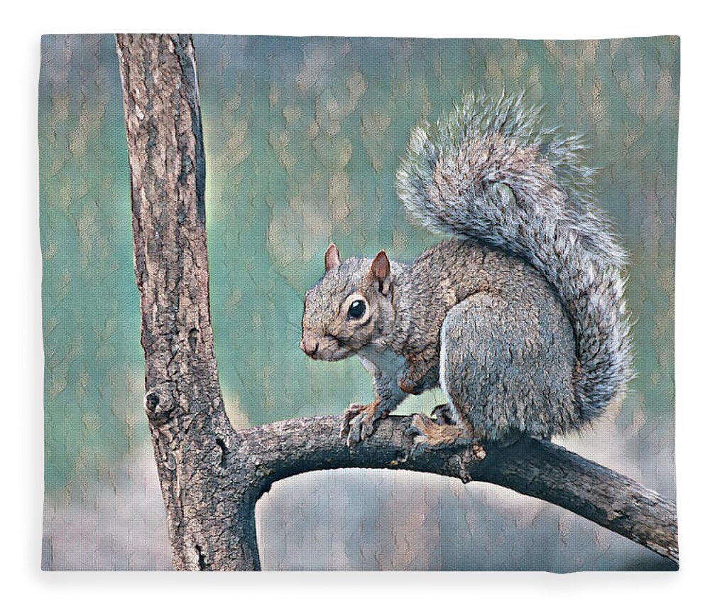 Wildlife Fleece Blanket featuring the photograph The Pause by Gina Fitzhugh