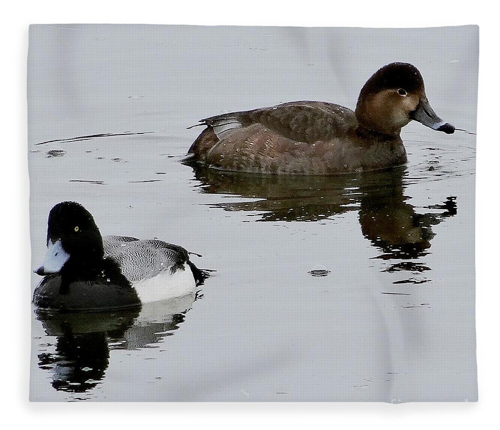 Wildlife Fleece Blanket featuring the photograph The Red and the Black by Christopher Plummer