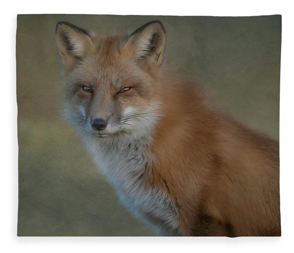 Red Fox Fleece Blanket featuring the photograph The Red Fox Stare by Sylvia Goldkranz