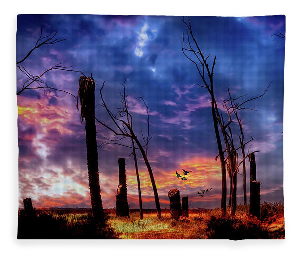 Sky Fleece Blanket featuring the photograph The Remains of the Day by Micah Offman