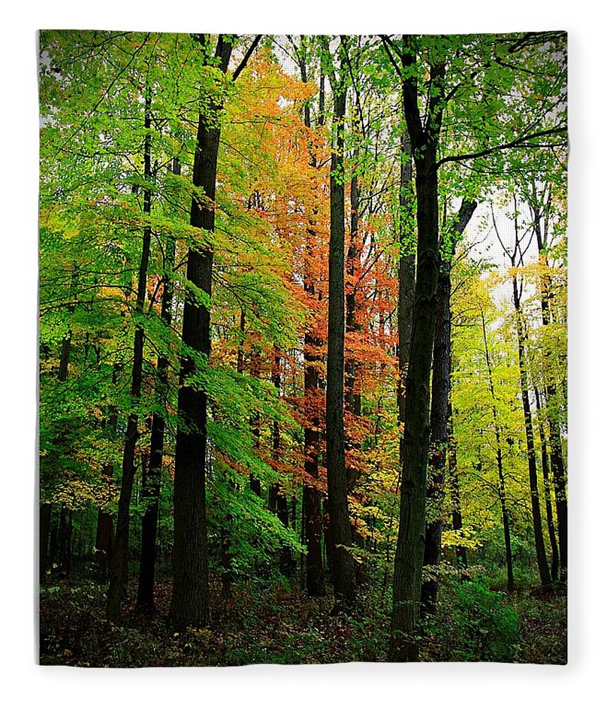 Autumn Fleece Blanket featuring the photograph The Return of Autumn by Mary Walchuck