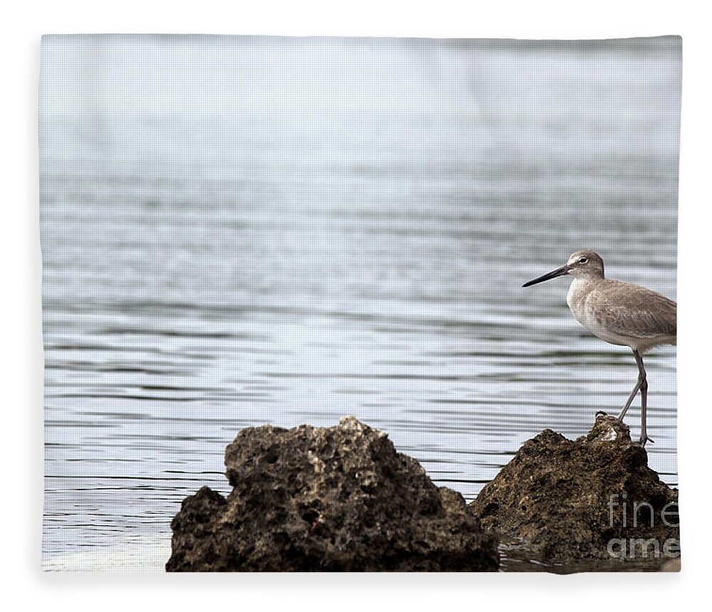Bird; Sandpiper; Water; Gulf Of Mexico; Florida; Key West; Sunlight; Reflections; Ripples; Rocks; Beach; Fleece Blanket featuring the photograph The Sandpiper by Tina Uihlein